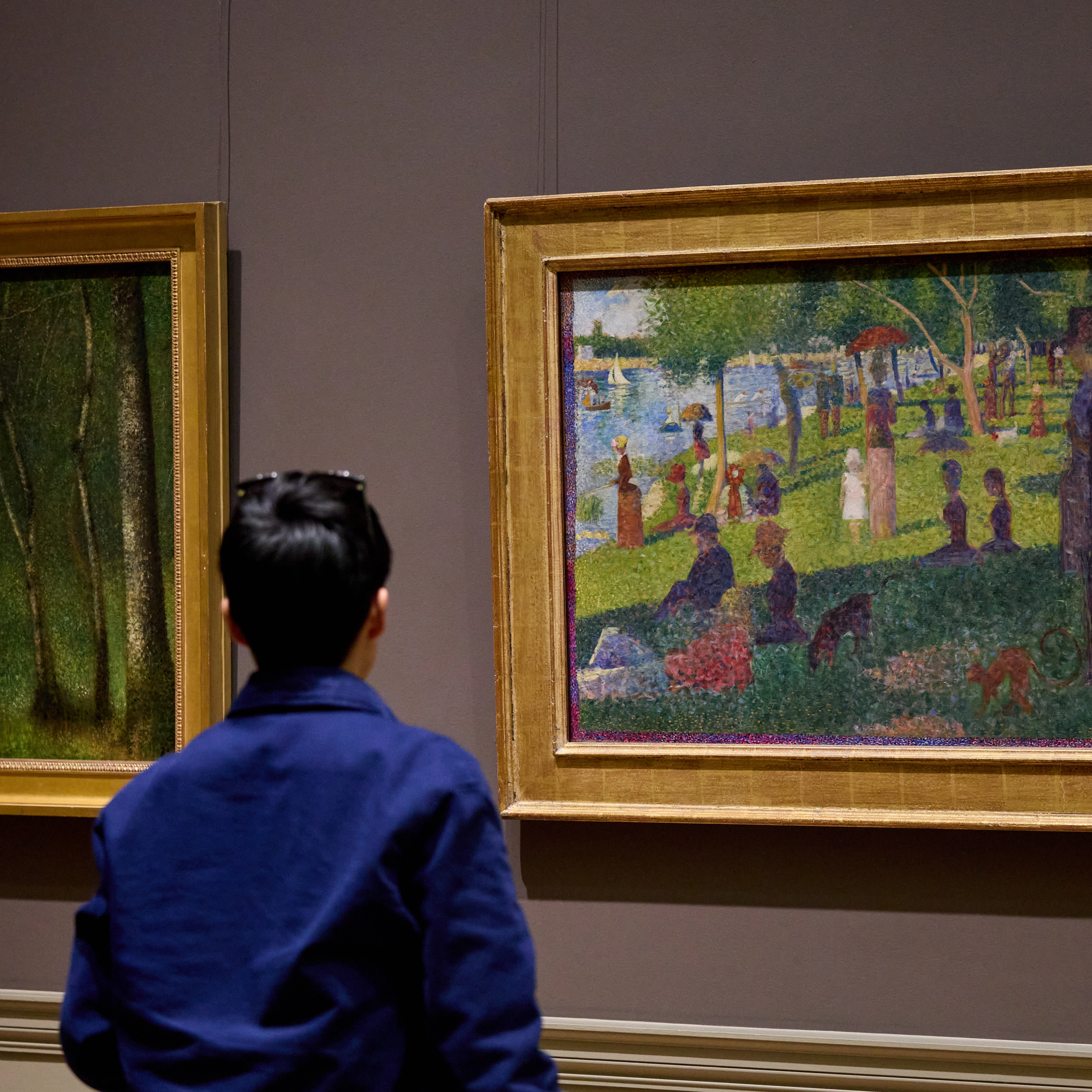 A visitor in the European Paintings galleries. 